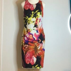 Frank Lyman Design Size 10 Multicoloured Soft Dress